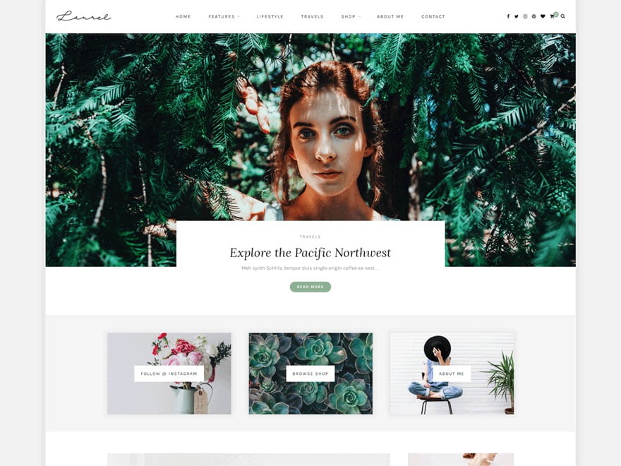 best wordpress theme for personal blog