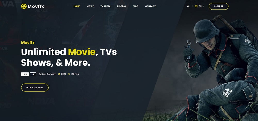 best wordpress themes for video production